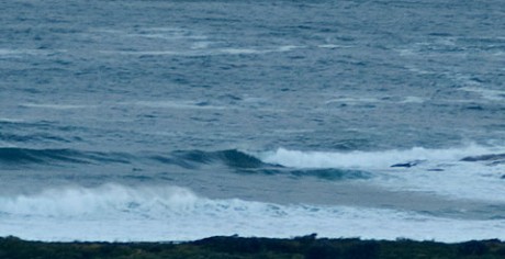 Icy morning wind but a few sets rolling into Dee Why.