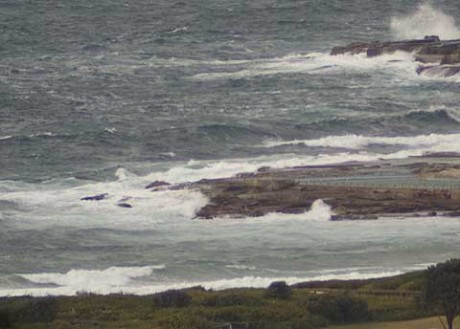 SE winds ripping the little swell to bits at around 0800.