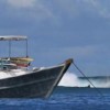 Aileoita surf charter Mentawai