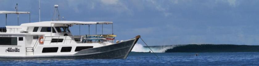 Aileoita surf charter Mentawai