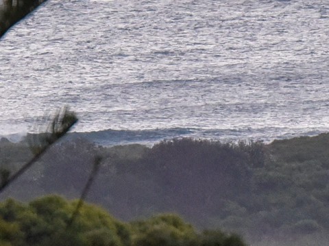 Fluffy north east wind swell has no takers
