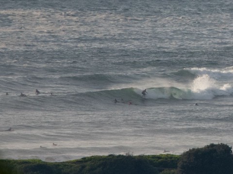 dy point surfing
