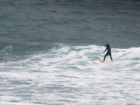 dee why point surfing