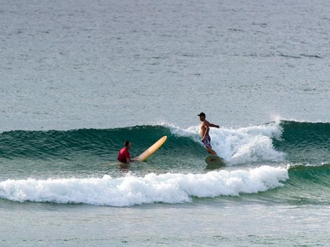 south steyne surfers
