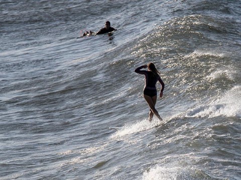 Collaroy surfer