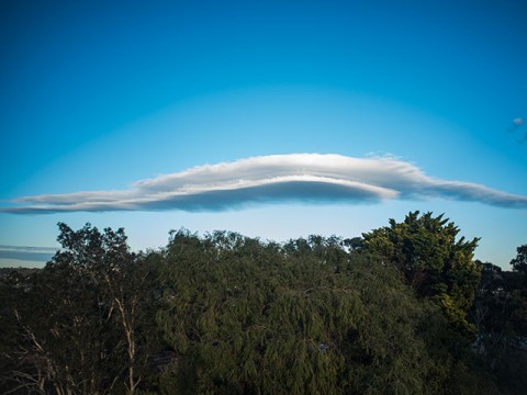 lenticular cloud over Sydney
