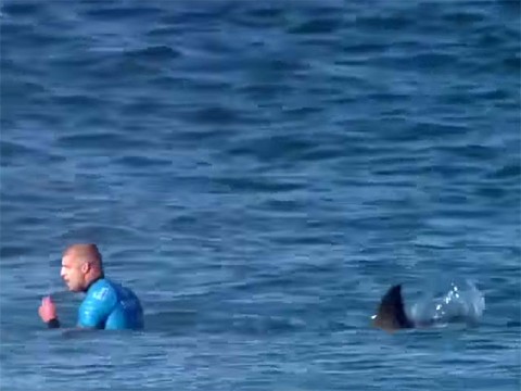 Mick Fanning and shark framegrab from youtube