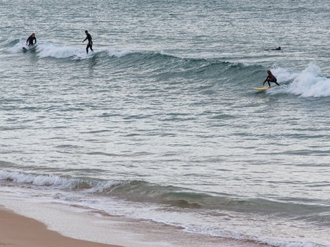 dy beach surfing