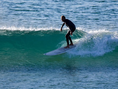 Freshwater surfer
