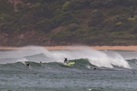 Collaroy surfing