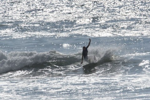 queenscliff surfer