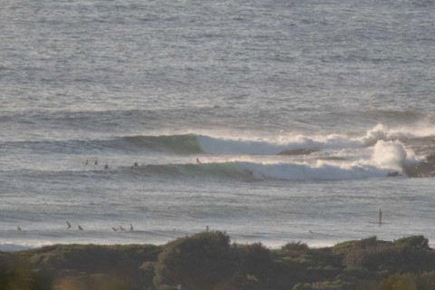 DY point surfers