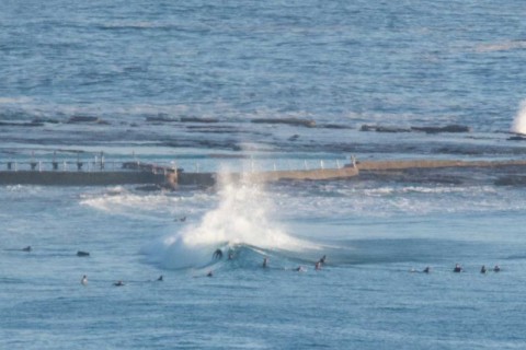 North Narrabeen surfing
