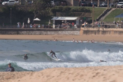 dee why surfer