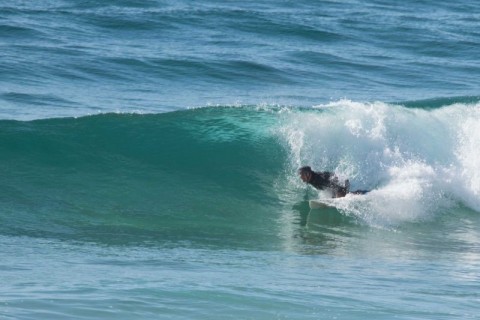 surfer north curl curl