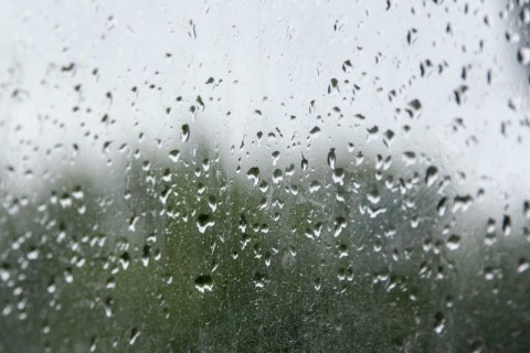 rain on the window pane