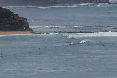 north narrabeen surfers
