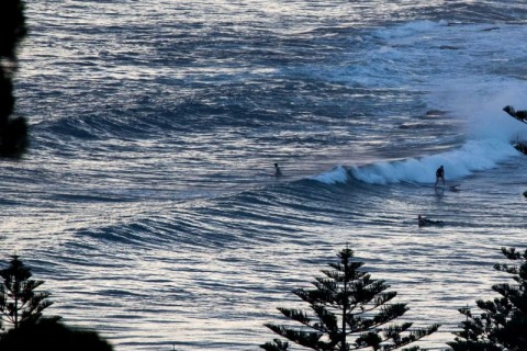 Collaroy surfing