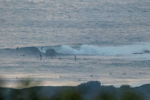surfers at dy point