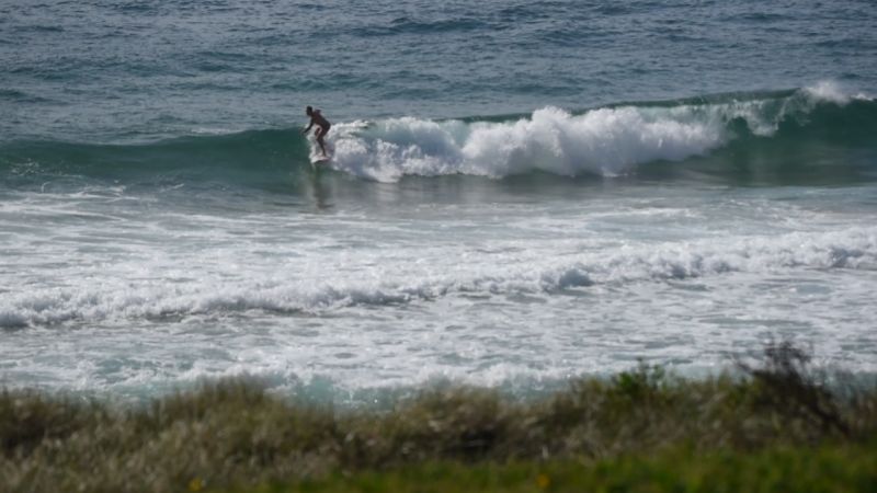 surfer Curl Curl beach