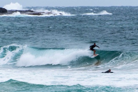 queenscliff surfer