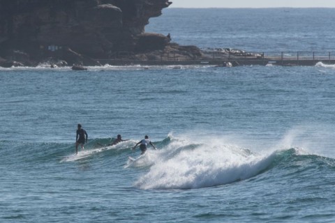 curl curl surfers