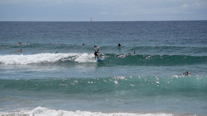surfers at dy video