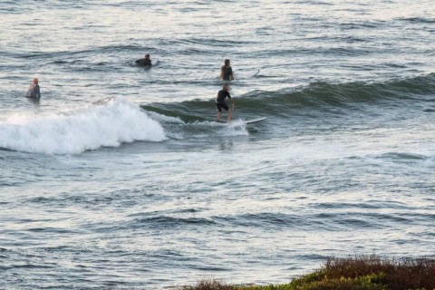 no mans surfer