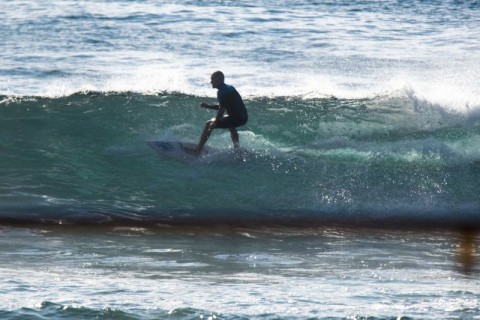 dy surfer