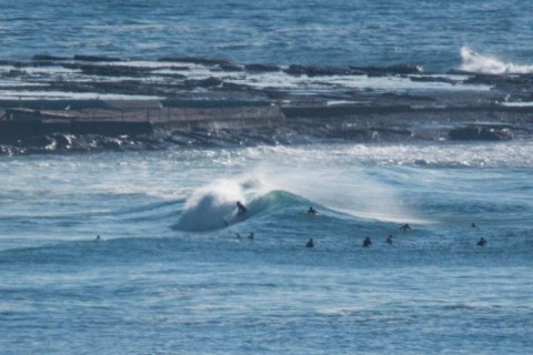 north narrabeen surfers