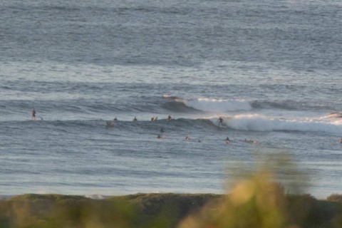 dy surfers