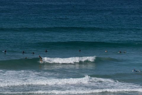 shelley beach surfing