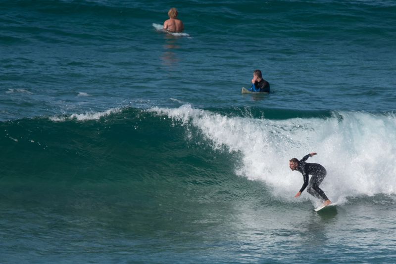shelley beach surfer