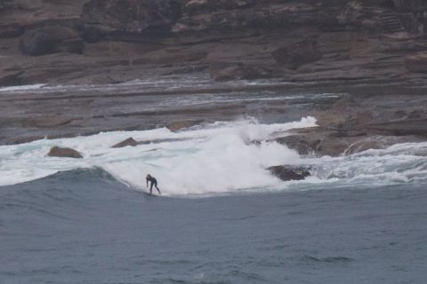dy point surfer