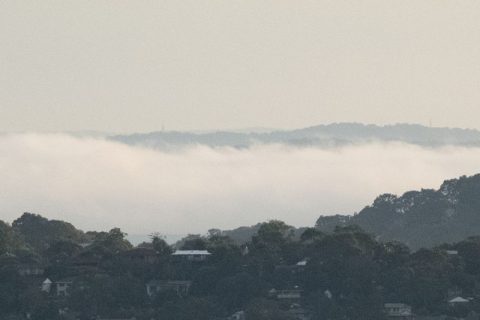 hawkesbury fog