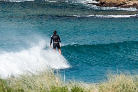 freshwater surfer