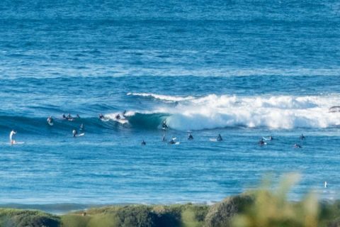 dy point surfing