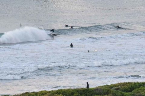 dy beach surfers
