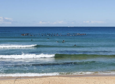 DYSF's paddle out for Midget Farrelly at DY beach 