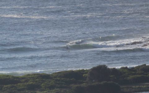 dee why point surfers