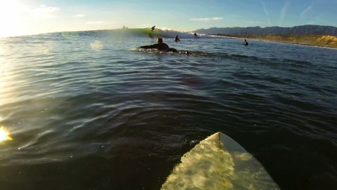 rincon surfing