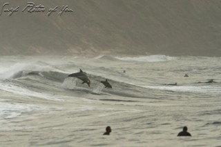 www.surfphotosofyou.com.au