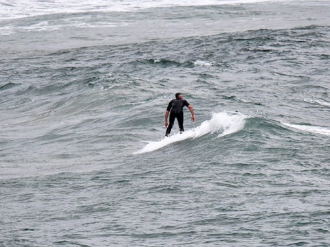 dee why beach surfing