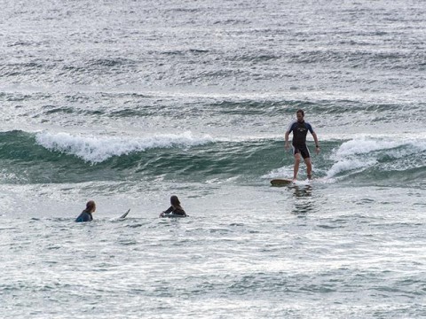 manly surfing
