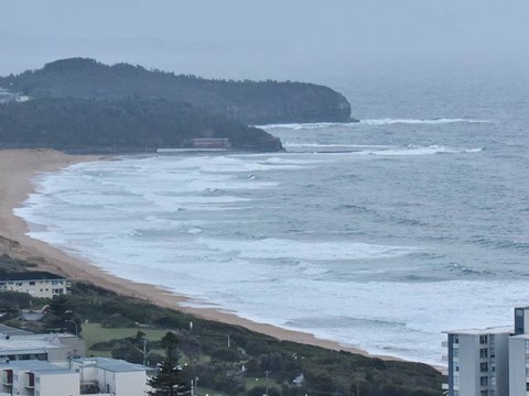 collaroy to narrabeen