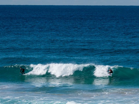 south curly surfing