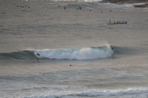 Rights and lefts on tap at Dee Why beach at 0630