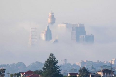 fog and Sydney