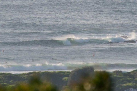 dy point surf