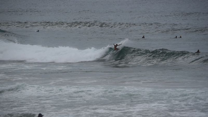 north narrabeen surfer